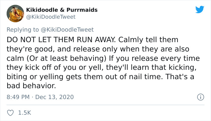 Person Shares How To Have Nice Furniture And A Happy Cat Instead Of Declawing It Person Shares How To Have Nice Furniture And A Happy Cat Instead Of Declawing It