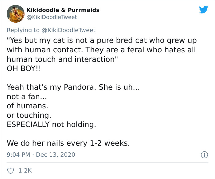 Person Shares How To Have Nice Furniture And A Happy Cat Instead Of Declawing It Person Shares How To Have Nice Furniture And A Happy Cat Instead Of Declawing It