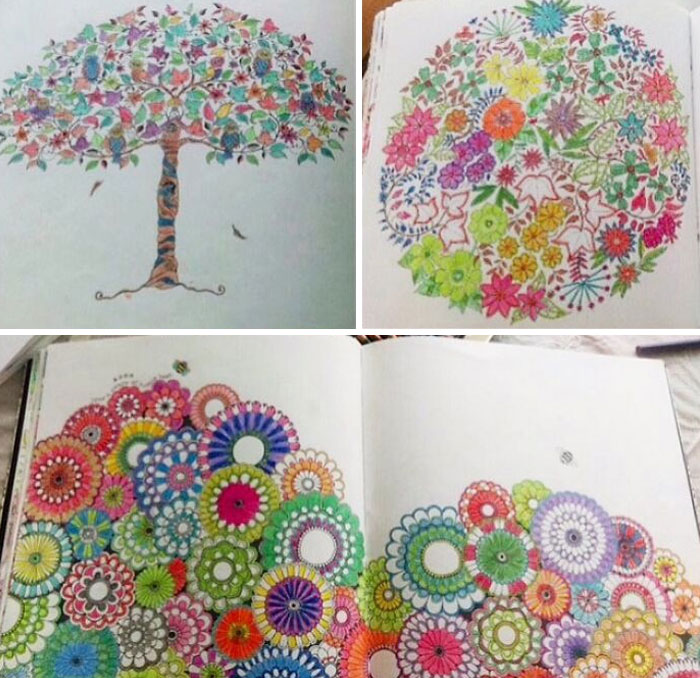 47 Weird Hobbies That Never Crossed Your Mind 47 Weird Hobbies That Never Crossed Your Mind