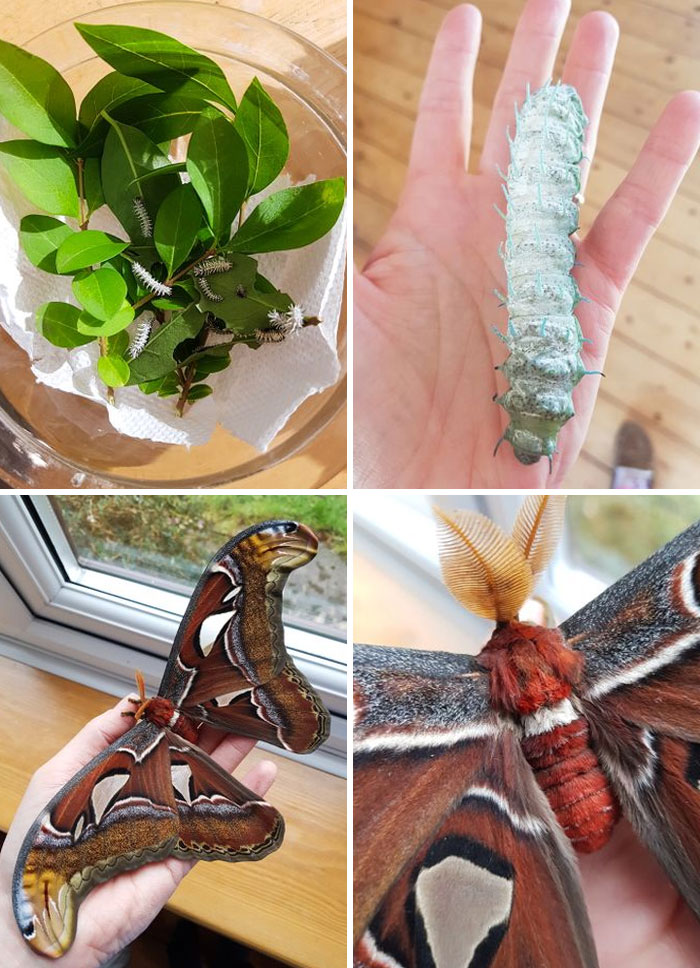 47 Weird Hobbies That Never Crossed Your Mind 47 Weird Hobbies That Never Crossed Your Mind