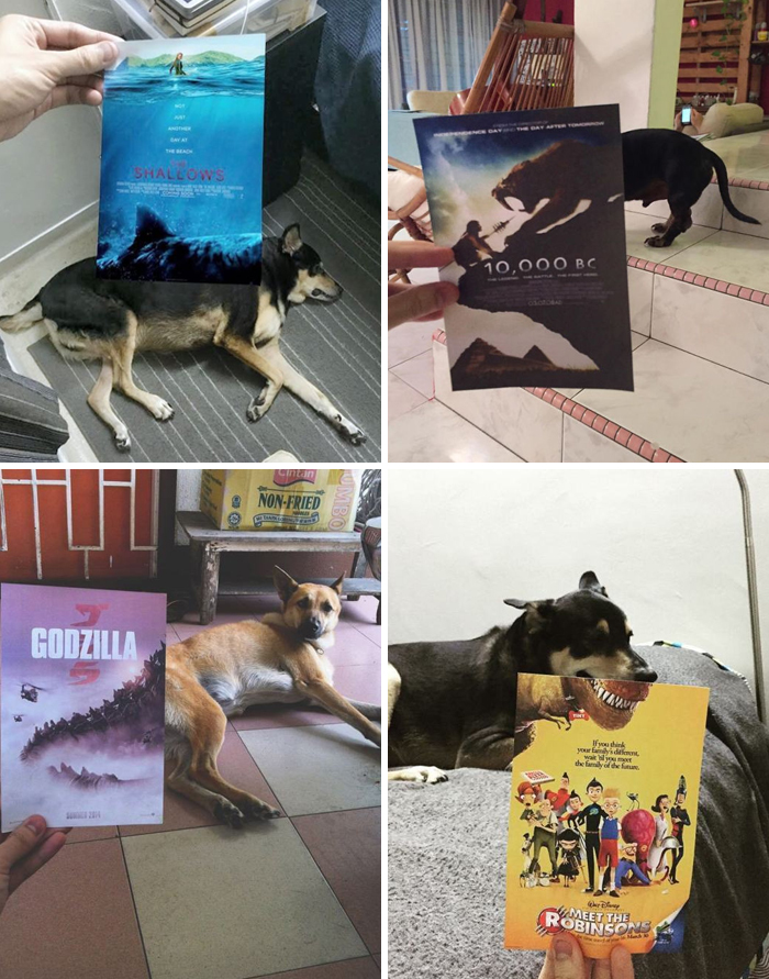 47 Weird Hobbies That Never Crossed Your Mind 47 Weird Hobbies That Never Crossed Your Mind