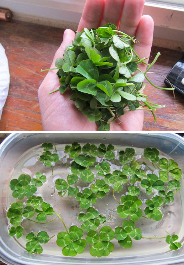 47 Weird Hobbies That Never Crossed Your Mind 47 Weird Hobbies That Never Crossed Your Mind