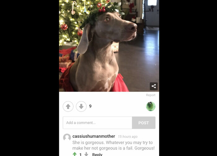 Share A Pic Of When Someone Has Made You Feel Good On Bored Panda (Closed) Share A Pic Of When Someone Has Made You Feel Good On Bored Panda (Closed)