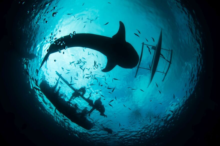 These Photographs From The 2020 Budapest International Foto Awards Will Probably Make You Think About Life (30 Pics) These Photographs From The 2020 Budapest International Foto Awards Will Probably Make You Think About Life (30 Pics)