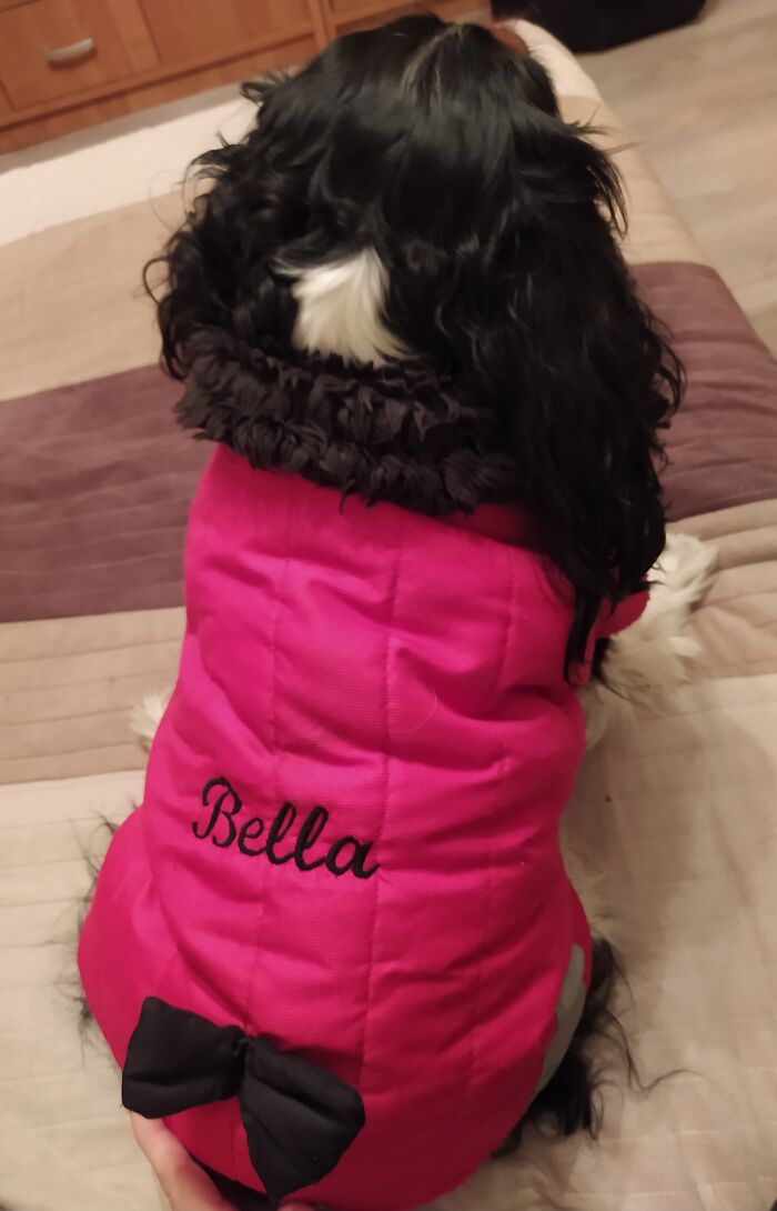 Pandas, Share A Pic Of Your Pet In A Costume (Closed)