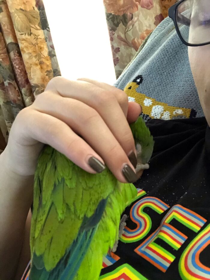 Hey Pandas, Post A Picture Of Your Bird (Closed) Hey Pandas, Post A Picture Of Your Bird (Closed)