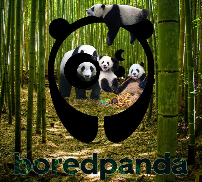 Hey Pandas, Photoshop The Bored Panda Logo (Closed) Hey Pandas, Photoshop The Bored Panda Logo (Closed)