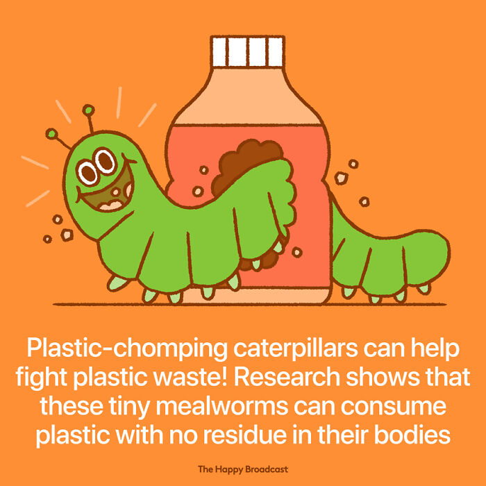 2020 Was A Hard Year, So This Man Illustrated The 40 Best News Of The Year To Outweigh The Negativity 2020 Was A Hard Year, So This Man Illustrated The 40 Best News Of The Year To Outweigh The Negativity