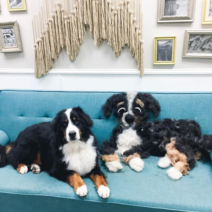 People On Facebook Are Sharing Funny Pics Of How Much Their Dogs Shed (25 Pics) People On Facebook Are Sharing Funny Pics Of How Much Their Dogs Shed (25 Pics)