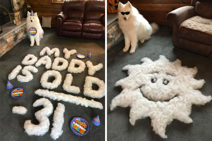 People On Facebook Are Sharing Funny Pics Of How Much Their Dogs Shed (25 Pics) People On Facebook Are Sharing Funny Pics Of How Much Their Dogs Shed (25 Pics)