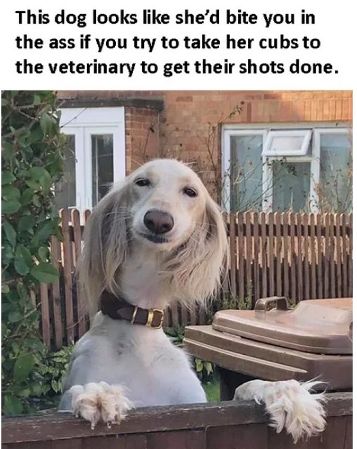 Hey Pandas, Post Your Favorite Karen Meme (Closed) Hey Pandas, Post Your Favorite Karen Meme (Closed)