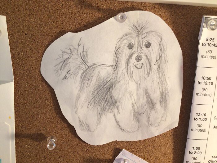 Hey Pandas, Post A Drawing Of Your Favorite Animal That You Drew (Closed) Hey Pandas, Post A Drawing Of Your Favorite Animal That You Drew (Closed)