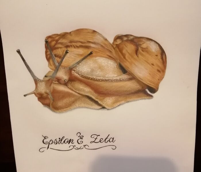 Hey Pandas, Post A Drawing Of Your Favorite Animal That You Drew (Closed) Hey Pandas, Post A Drawing Of Your Favorite Animal That You Drew (Closed)