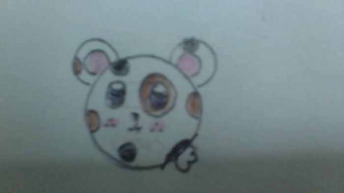 Hey Pandas, Post A Drawing Of Your Favorite Animal That You Drew (Closed) Hey Pandas, Post A Drawing Of Your Favorite Animal That You Drew (Closed)