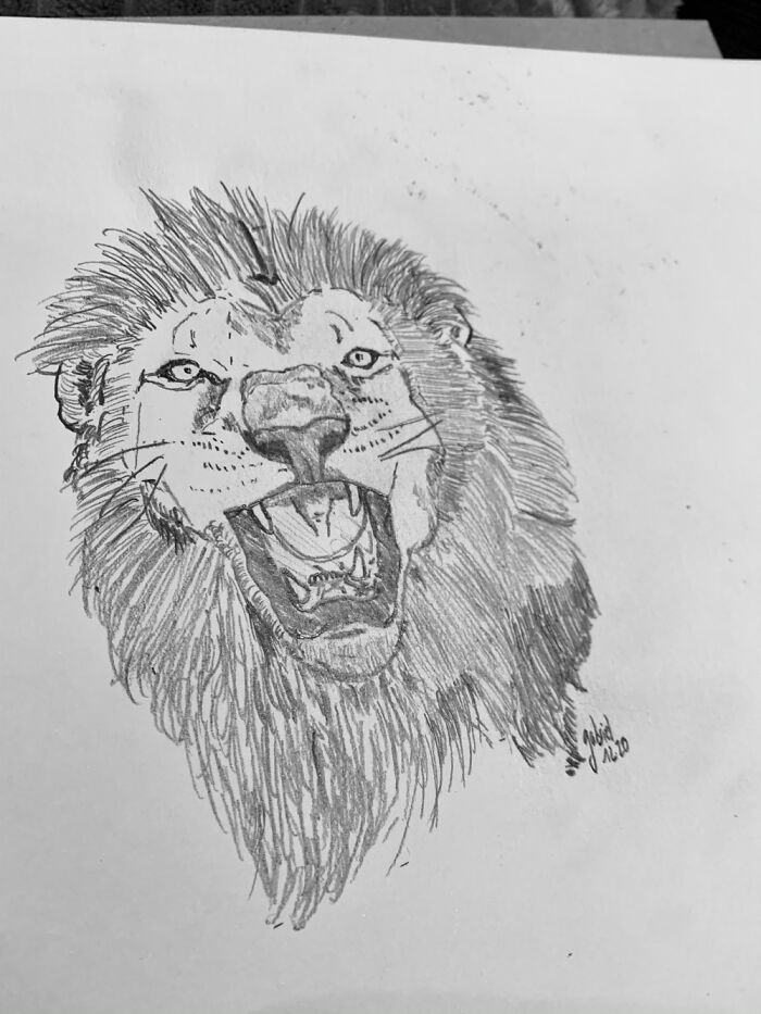 Hey Pandas, Post A Drawing Of Your Favorite Animal That You Drew (Closed) Hey Pandas, Post A Drawing Of Your Favorite Animal That You Drew (Closed)