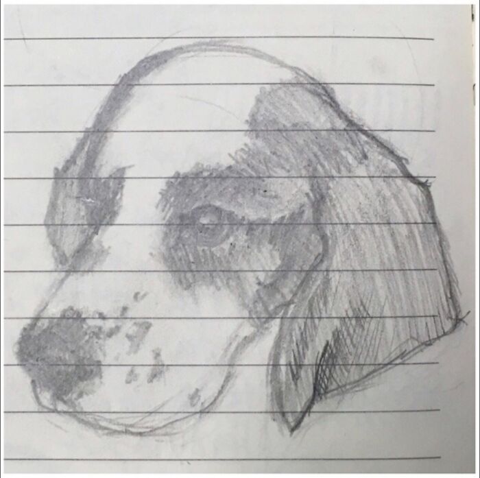 Hey Pandas, Post A Drawing Of Your Favorite Animal That You Drew (Closed) Hey Pandas, Post A Drawing Of Your Favorite Animal That You Drew (Closed)