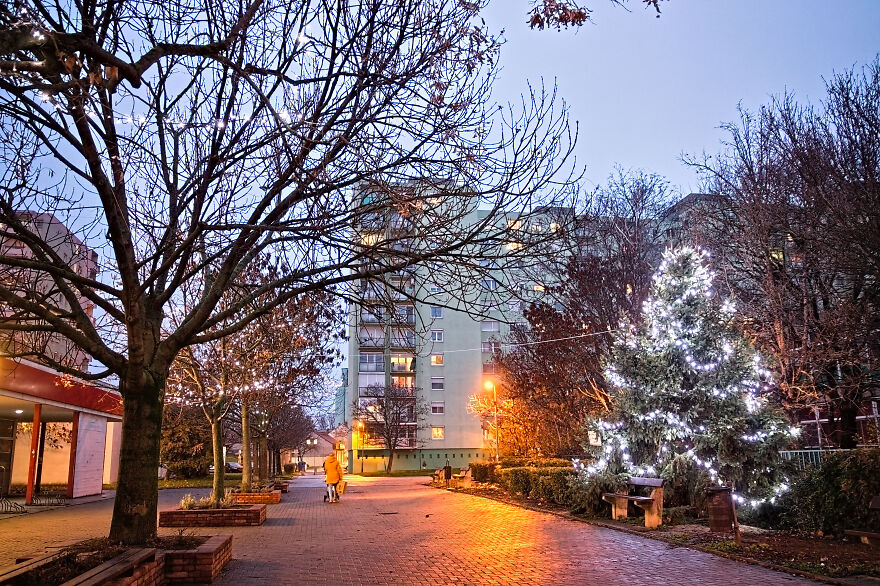 My Hometown’s Christmas Lights In 2020 My Hometown’s Christmas Lights In 2020