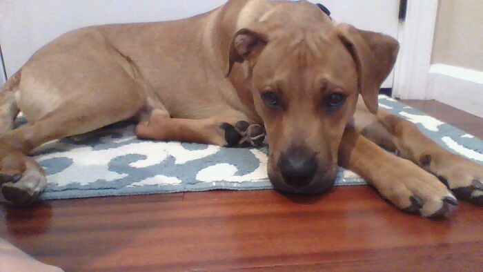 What Is This Thing For? (Wrong Answers Only) (Closed) What Is This Thing For? (Wrong Answers Only) (Closed)