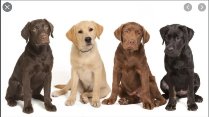 What Is This Thing For? (Wrong Answers Only) (Closed) What Is This Thing For? (Wrong Answers Only) (Closed)