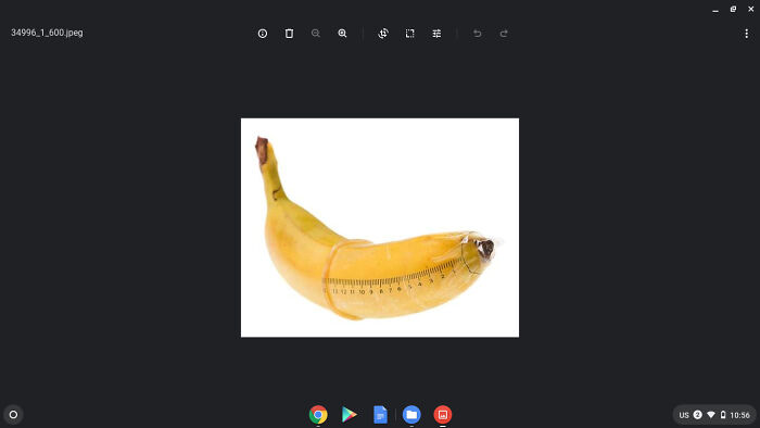 What Is This Thing For? (Wrong Answers Only) (Closed) What Is This Thing For? (Wrong Answers Only) (Closed)