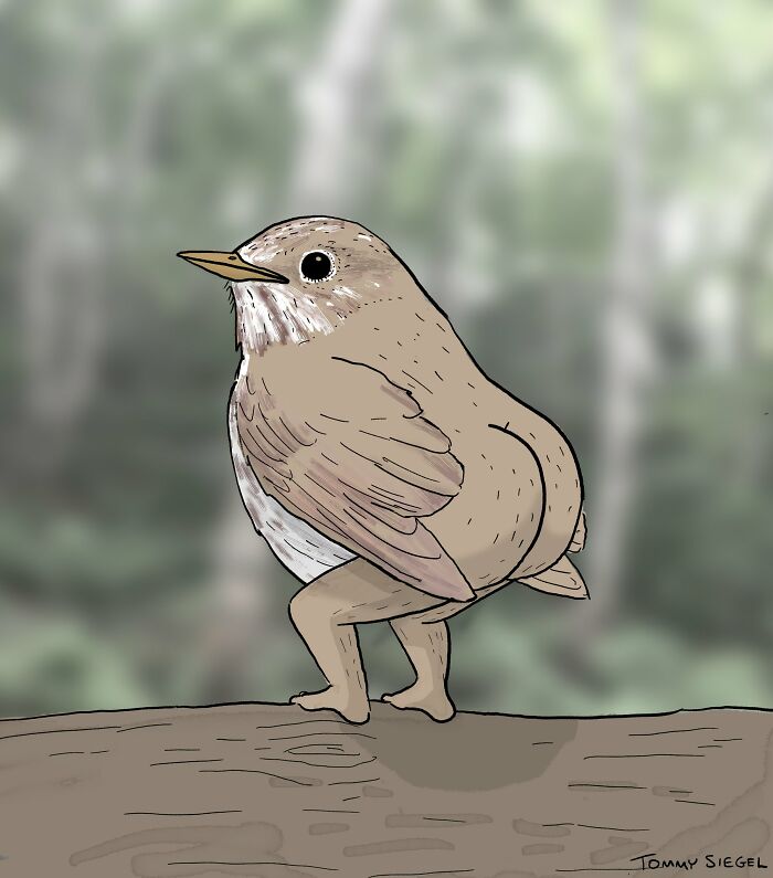 What Is This Thing For? (Wrong Answers Only) (Closed) What Is This Thing For? (Wrong Answers Only) (Closed)