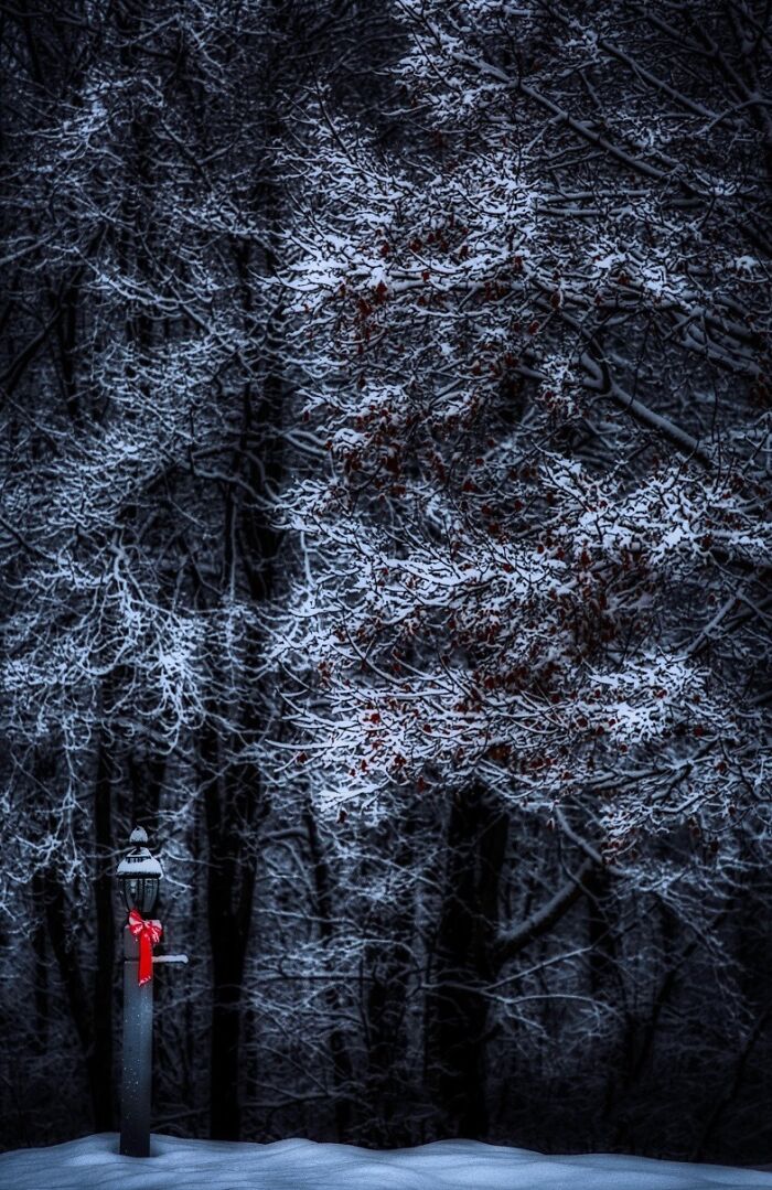 Hey Pandas, If It&rsquo;s Snowy Where You Are, Share A Pic! (Closed)