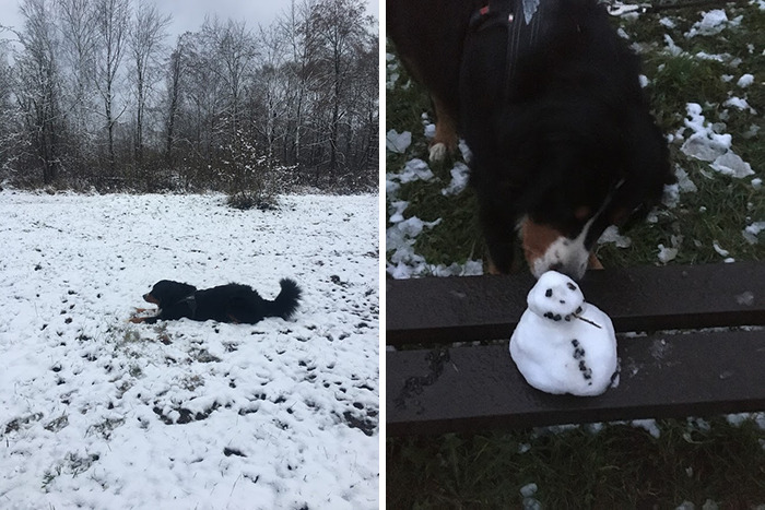 Hey Pandas, If It&rsquo;s Snowy Where You Are, Share A Pic! (Closed)