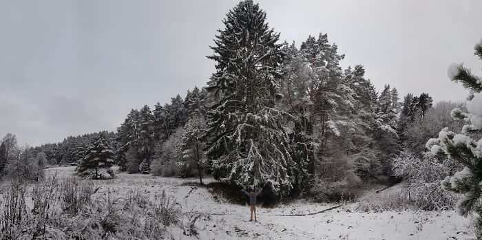 Hey Pandas, If It&rsquo;s Snowy Where You Are, Share A Pic! (Closed)