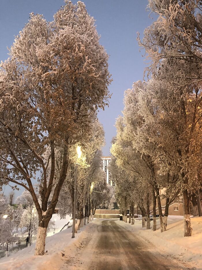 Hey Pandas, If It&rsquo;s Snowy Where You Are, Share A Pic! (Closed)