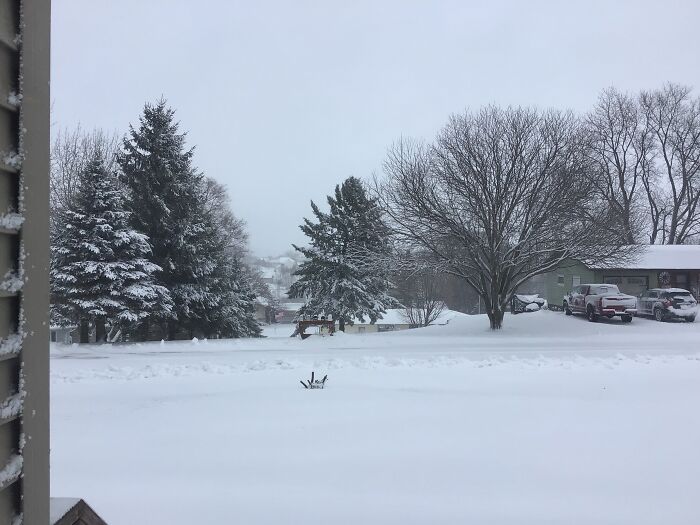 Hey Pandas, If It&rsquo;s Snowy Where You Are, Share A Pic! (Closed)