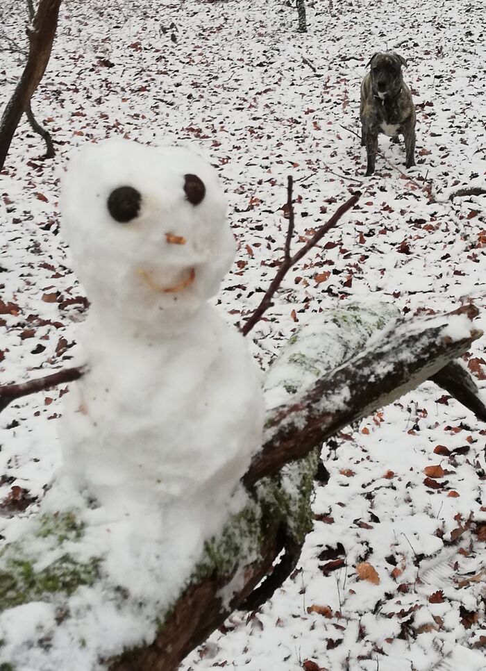 Hey Pandas, If It&rsquo;s Snowy Where You Are, Share A Pic! (Closed)