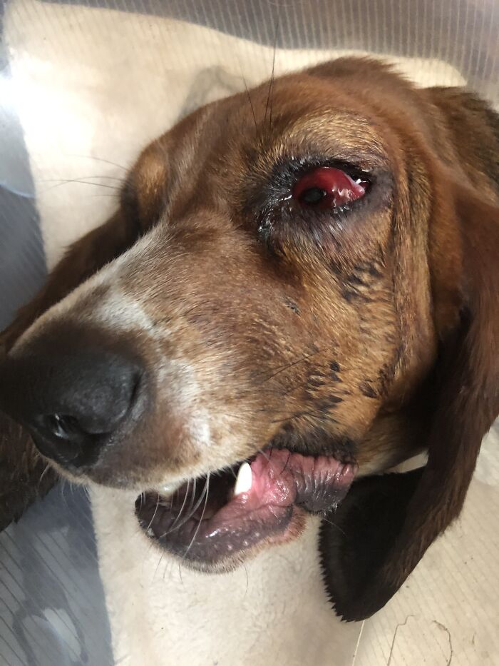 Hey Pandas, Share The Most Unflattering Picture Of Your Pet (Closed) Hey Pandas, Share The Most Unflattering Picture Of Your Pet (Closed)