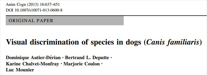 Researchers Try To Identify How Dogs Recognize Each Other, But Their Work Goes Viral For How Cute It Is Researchers Try To Identify How Dogs Recognize Each Other, But Their Work Goes Viral For How Cute It Is