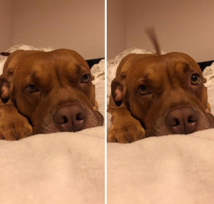 50 Interesting Comparison Images That Will Give You A New Perspective (New Pics)