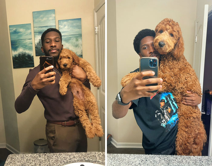 50 Interesting Comparison Images That Will Give You A New Perspective (New Pics) 50 Interesting Comparison Images That Will Give You A New Perspective (New Pics)