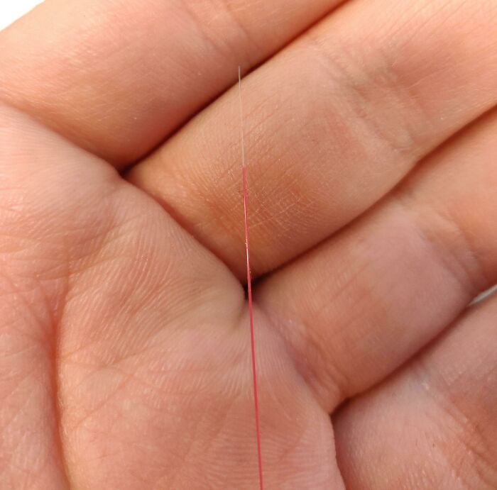 50 Interesting Comparison Images That Will Give You A New Perspective (New Pics)