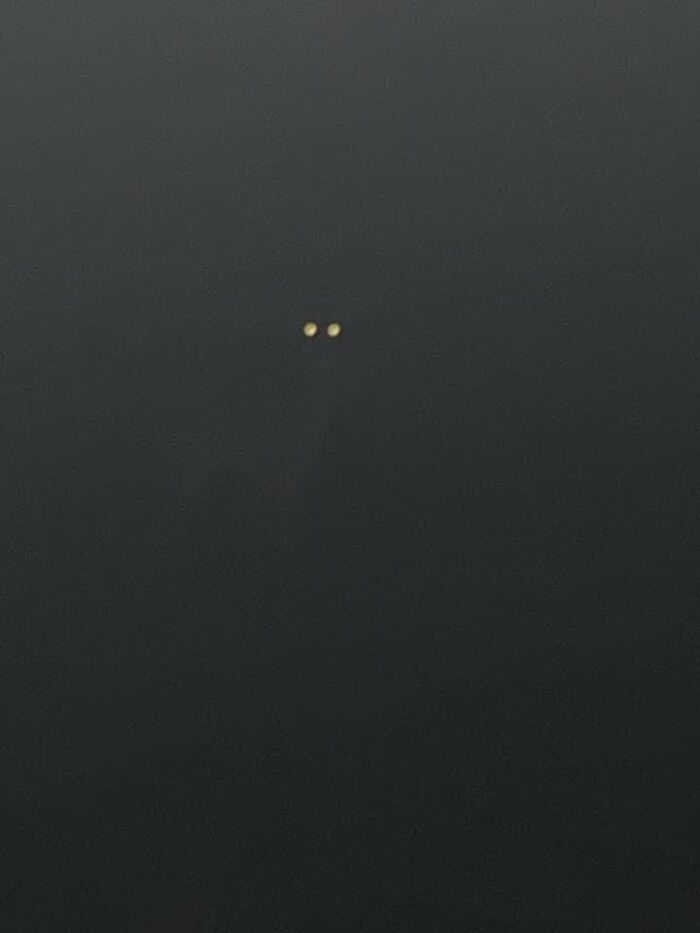 This Facebook Group Is Dedicated To Crappy Wildlife Photos That Are So Bad They’re Good (50 New Pics) This Facebook Group Is Dedicated To Crappy Wildlife Photos That Are So Bad They’re Good (50 New Pics)