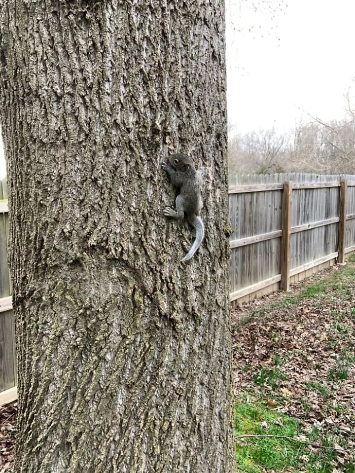 This Facebook Group Is Dedicated To Crappy Wildlife Photos That Are So Bad They’re Good (50 New Pics) This Facebook Group Is Dedicated To Crappy Wildlife Photos That Are So Bad They’re Good (50 New Pics)