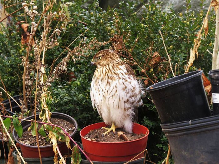 This Facebook Group Is Dedicated To Crappy Wildlife Photos That Are So Bad They’re Good (50 New Pics) This Facebook Group Is Dedicated To Crappy Wildlife Photos That Are So Bad They’re Good (50 New Pics)