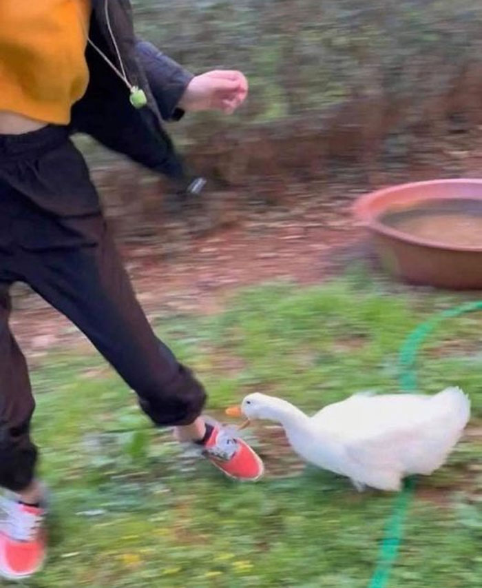 This Facebook Group Is Dedicated To Crappy Wildlife Photos That Are So Bad They’re Good (50 New Pics) This Facebook Group Is Dedicated To Crappy Wildlife Photos That Are So Bad They’re Good (50 New Pics)