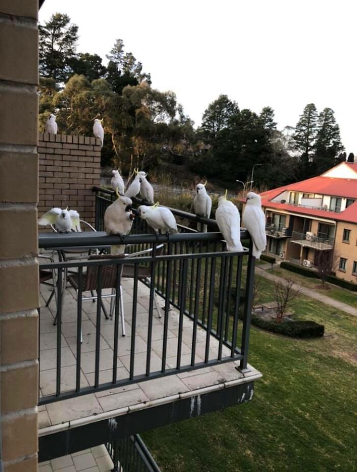 This Facebook Group Is Dedicated To Crappy Wildlife Photos That Are So Bad They’re Good (50 New Pics) This Facebook Group Is Dedicated To Crappy Wildlife Photos That Are So Bad They’re Good (50 New Pics)