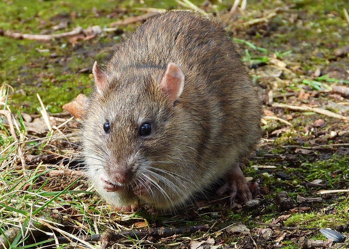 40 Interesting Things People Didn’t Learn At School And Decided To Share Them In This Online Group (New Pics) 40 Interesting Things People Didn’t Learn At School And Decided To Share Them In This Online Group (New Pics)