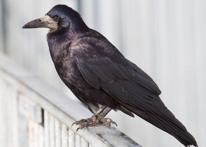 40 Interesting Things People Didn’t Learn At School And Decided To Share Them In This Online Group (New Pics) 40 Interesting Things People Didn’t Learn At School And Decided To Share Them In This Online Group (New Pics)