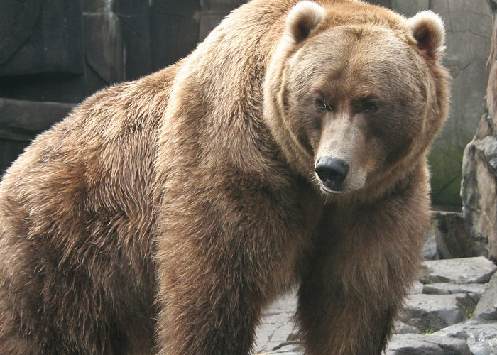 40 Interesting Things People Didn’t Learn At School And Decided To Share Them In This Online Group (New Pics) 40 Interesting Things People Didn’t Learn At School And Decided To Share Them In This Online Group (New Pics)