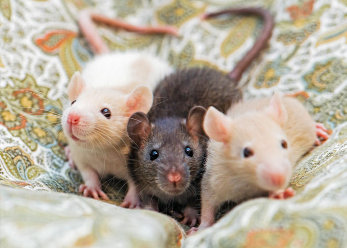 40 Interesting Things People Didn’t Learn At School And Decided To Share Them In This Online Group (New Pics) 40 Interesting Things People Didn’t Learn At School And Decided To Share Them In This Online Group (New Pics)