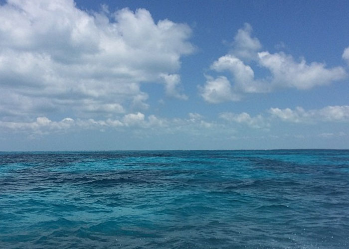 40 Interesting Things People Didn’t Learn At School And Decided To Share Them In This Online Group (New Pics) 40 Interesting Things People Didn’t Learn At School And Decided To Share Them In This Online Group (New Pics)