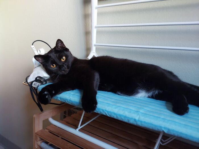 Hey Pandas, Show Me You Are Eco-Friendly Without Telling Me You Are Eco-Friendly (Closed) Hey Pandas, Show Me You Are Eco-Friendly Without Telling Me You Are Eco-Friendly (Closed)