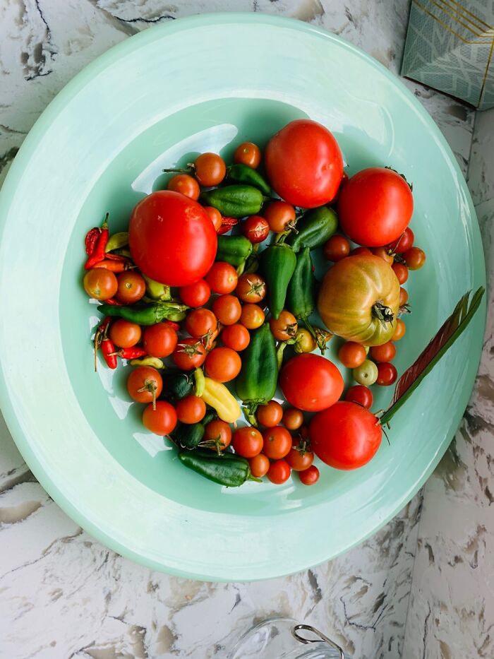 Hey Pandas, Show Me You Are Eco-Friendly Without Telling Me You Are Eco-Friendly (Closed) Hey Pandas, Show Me You Are Eco-Friendly Without Telling Me You Are Eco-Friendly (Closed)