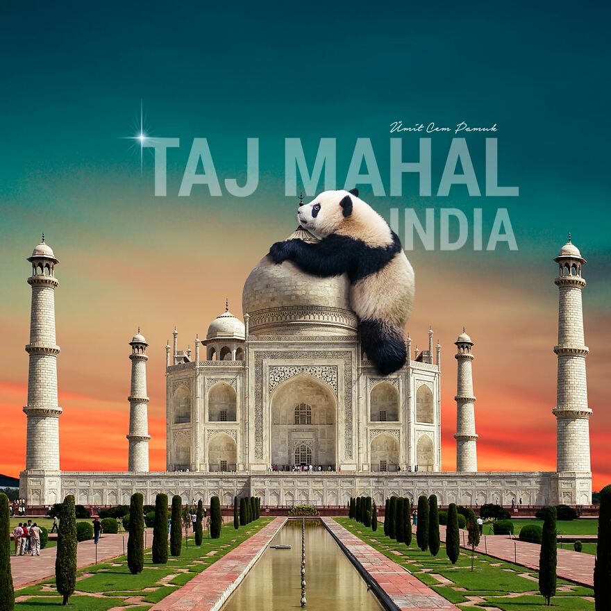 I Make Surreal Photo Manipulations Of Famous Landmarks And Animals