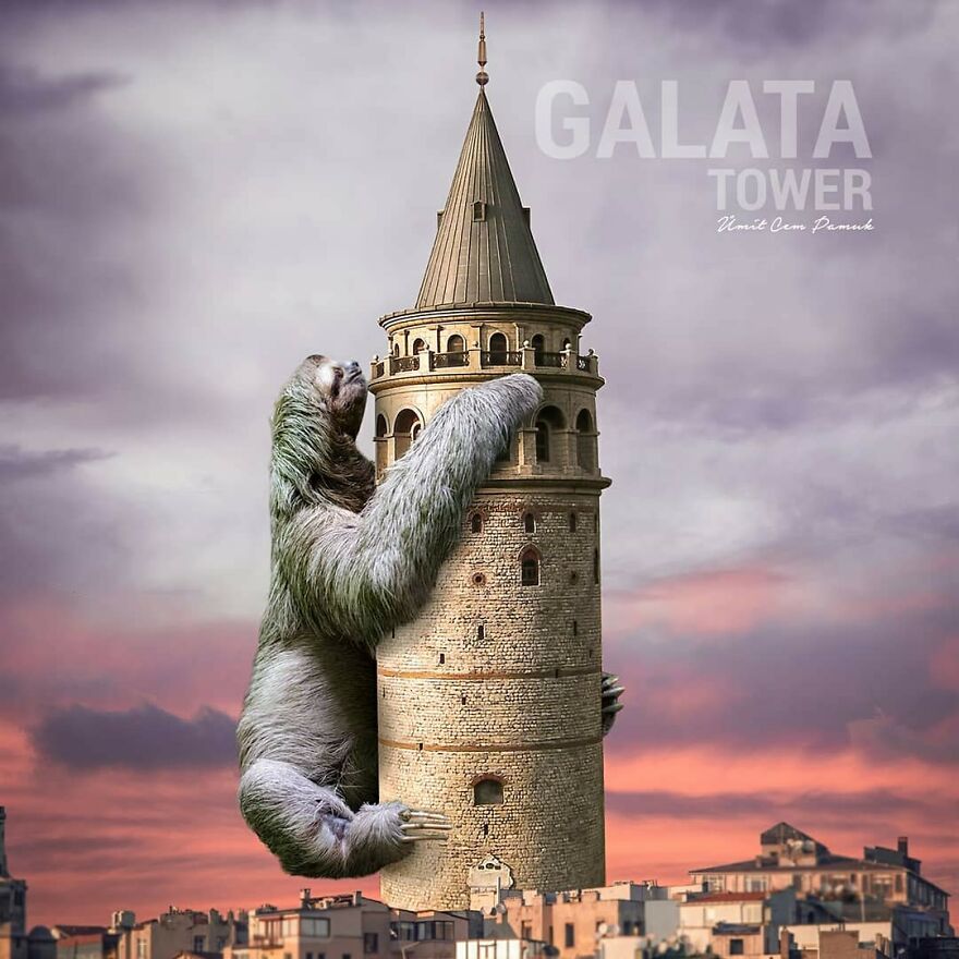 I Make Surreal Photo Manipulations Of Famous Landmarks And Animals